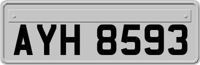 AYH8593
