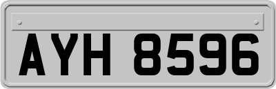 AYH8596