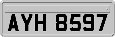 AYH8597
