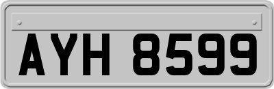 AYH8599