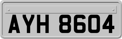 AYH8604