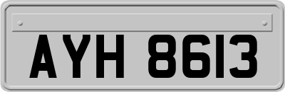 AYH8613