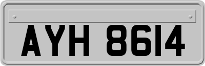 AYH8614