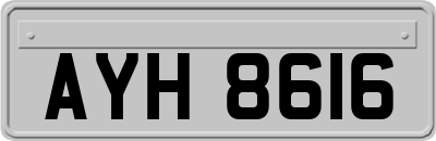 AYH8616