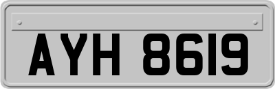 AYH8619