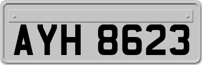 AYH8623