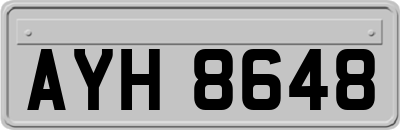 AYH8648