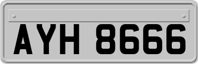 AYH8666