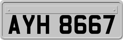 AYH8667