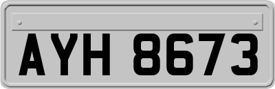 AYH8673