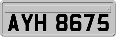 AYH8675