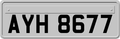AYH8677