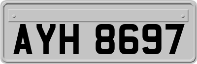AYH8697