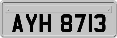 AYH8713