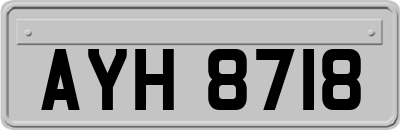 AYH8718