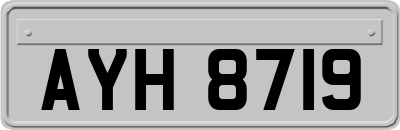 AYH8719