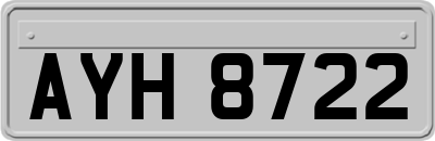 AYH8722