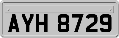 AYH8729