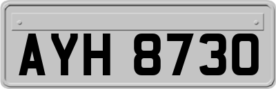 AYH8730