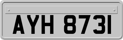 AYH8731