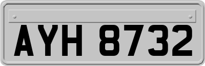AYH8732