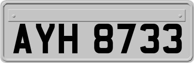 AYH8733