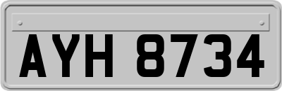 AYH8734