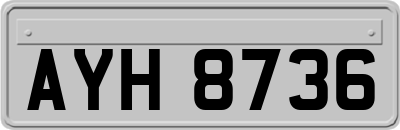 AYH8736