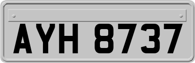AYH8737