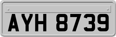 AYH8739