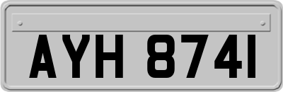 AYH8741