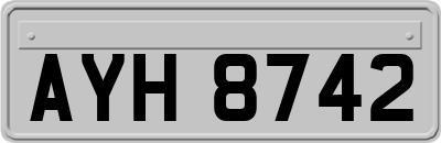 AYH8742