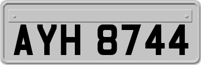 AYH8744