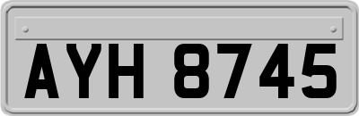 AYH8745