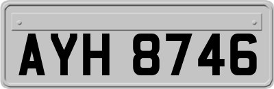 AYH8746