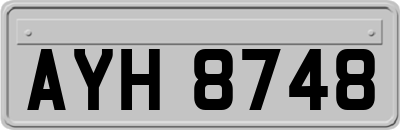 AYH8748