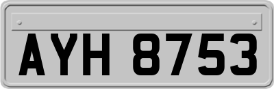 AYH8753