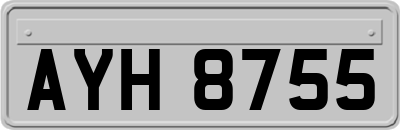 AYH8755