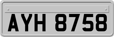 AYH8758