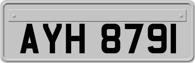 AYH8791