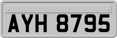 AYH8795
