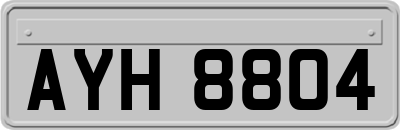 AYH8804