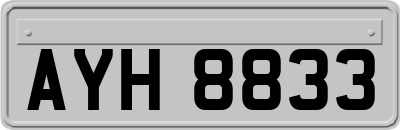 AYH8833