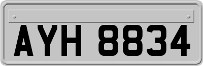 AYH8834