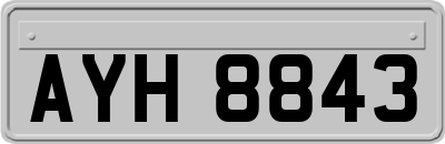 AYH8843