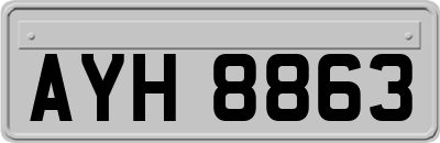 AYH8863