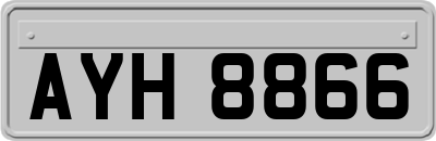 AYH8866
