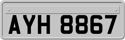 AYH8867