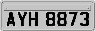 AYH8873