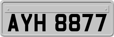 AYH8877